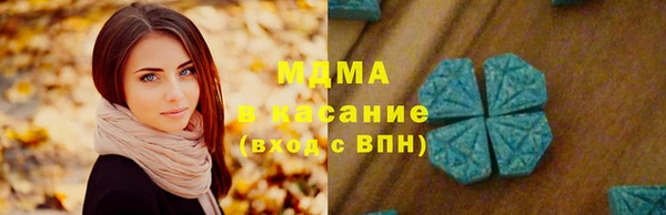 хмурый Алексин
