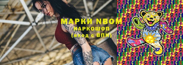 хмурый Алексин