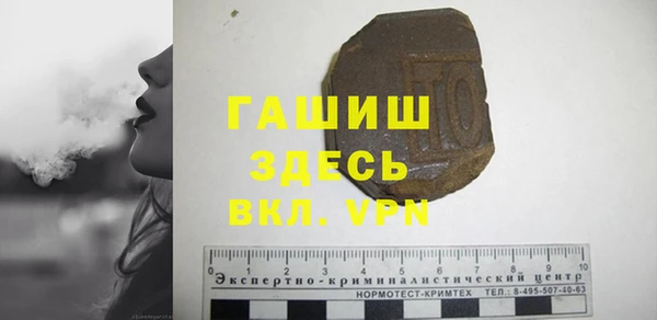 хмурый Алексин