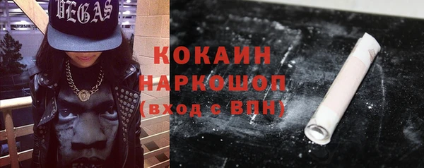 хмурый Алексин