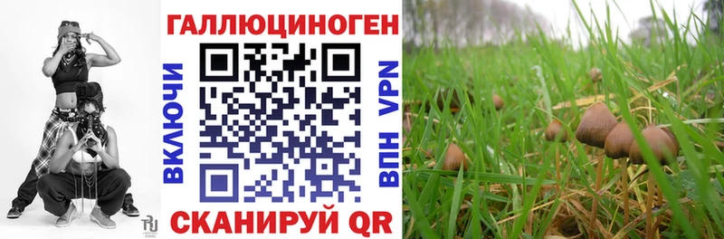 MEGA рабочий сайт  Тара  Галлюциногенные грибы мицелий 